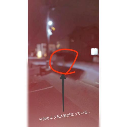 田舎の夜で……の写真