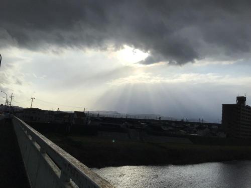 なんやこれの写真