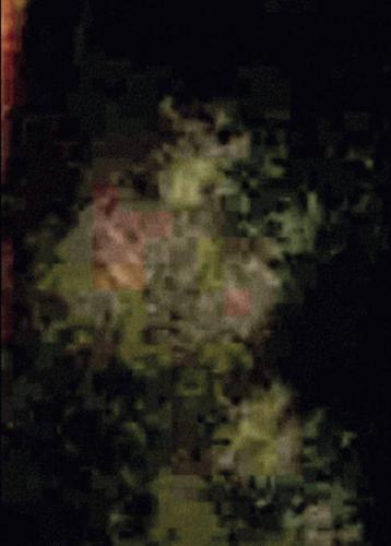 骸骨の女の写真