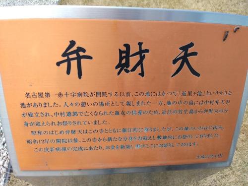 さ、三匹も！！！（ﾋﾞｸｩｯ！！！）