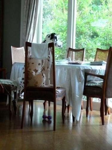 顔みたいなものが…