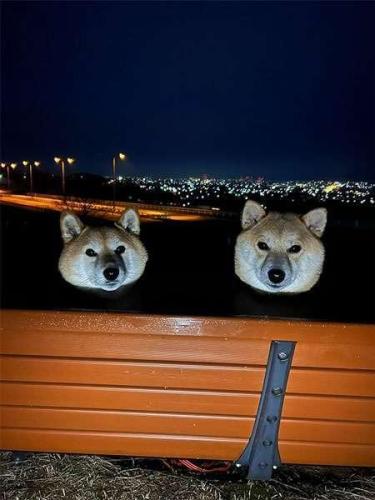 体はどこへ！？