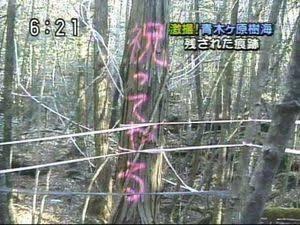 樹海の木に