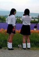 お花畑の画像