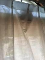 カーテンに顔が！？の画像