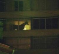 建物の中に馬！？の画像
