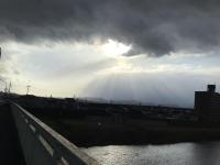 なんやこれの画像