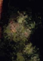 骸骨の女の画像