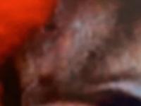 テレビのYouTubeからの画像