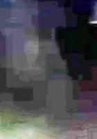 森にいた女性の画像