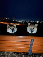 体はどこへ！？の画像