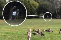 奥に謎の生物がいる！！の画像