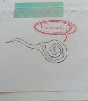 狐火を見たことがある人はいますか？