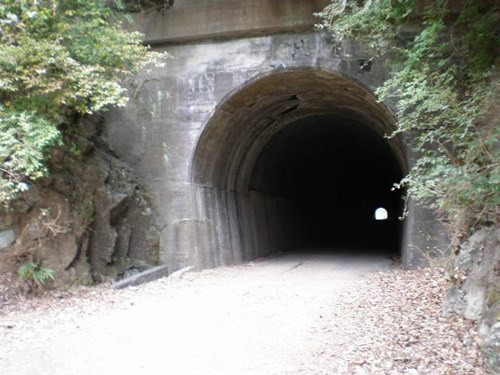 １２年くらい前のことです。車で広沢寺温泉前に駐車し、一人で鐘ヶ嶽に向けてトンネルに近づくと、ハイヒールのコツコツと歩く音が響いて来ました。すると女性がトンネルから出てきました。いつものようにすれ違いざま「こんにちは」とお互い挨拶を交わした瞬間、女性を見ると人間と狐を合わせた有りえない顔でした。一瞬で全身に鳥ハダが立ちました。トンネルの向こうは、廃止になったキャンプ場？そこから２０代後半～３０代前半位の女性が山の中、ハイヒールで一人歩いて来るなんて！振り返ると・・当然のように姿が消えてハイヒールの音も無くなっていました。
あまりの恐怖に仕事のモヤモヤした悩みを抱えて歩いたいたのに、全て飛んで行ってしまいました。その後も数回、行きましたが、野犬の鳴き声でビビったくらいで、こんな経験はありませんでした。