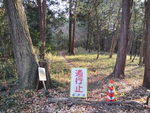 田波目(多和目)城跡