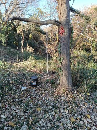 県立三ツ池公園のコメント欄に投稿された写真