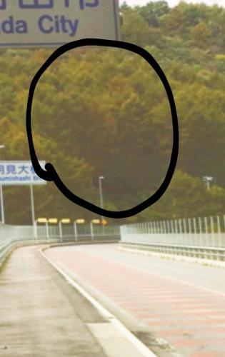 明見大橋のコメント欄に投稿された写真