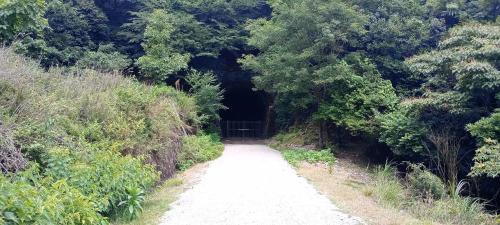 旧総谷トンネルのコメント欄に投稿された写真
