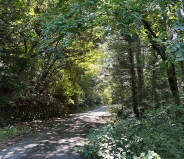 大川寺遊園地のコメント欄に投稿された写真
