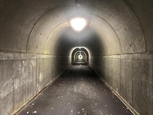 旧東山トンネル（花山トンネル）のコメント欄に投稿された写真