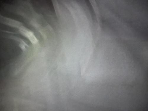 丹野池公園のコメント欄に投稿された写真