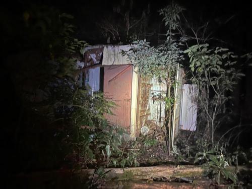 新田さん家のコメント欄に投稿された写真