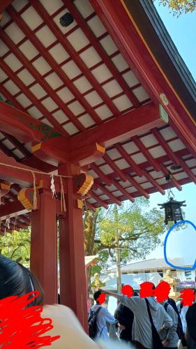 太宰府天満宮のコメント欄に投稿された写真