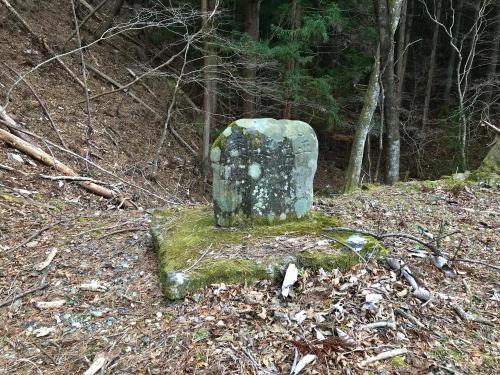 飯森トンネルのコメント欄に投稿された写真 02