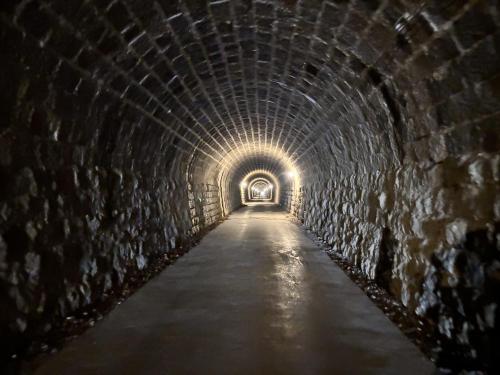 旧天城トンネルのコメント欄に投稿された写真 02