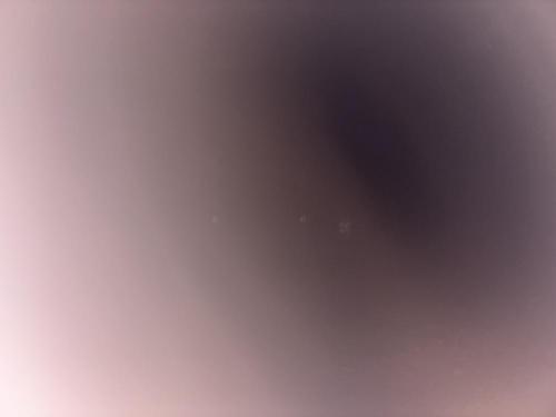 岡部隧道のコメント欄に投稿された写真 01