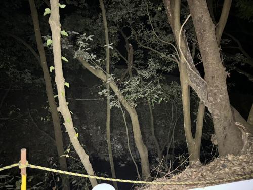 山原堤のコメント欄に投稿された写真 02