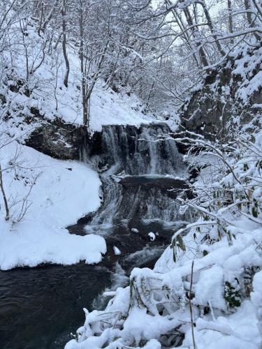 平和の滝のコメント欄に投稿された写真 05