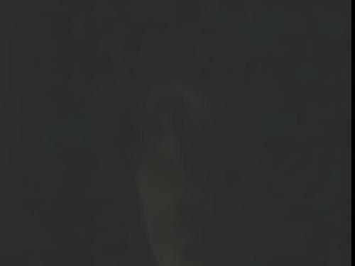 せどむら坂のコメント欄に投稿された写真 05