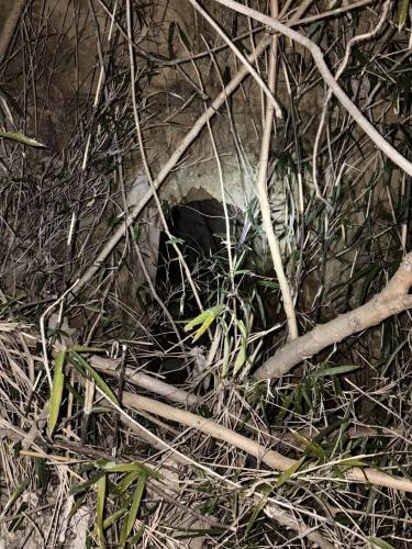 首吊り鉄塔のコメント欄に投稿された写真 04