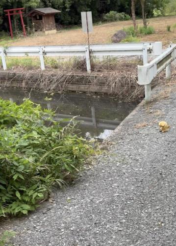 カッパ池のコメント欄に投稿された写真