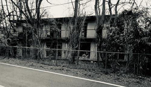 金甲山のコメント欄に投稿された写真