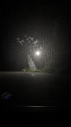 犬吠埼灯台のコメント欄に投稿された写真