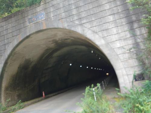君鴨トンネルのコメント欄に投稿された写真