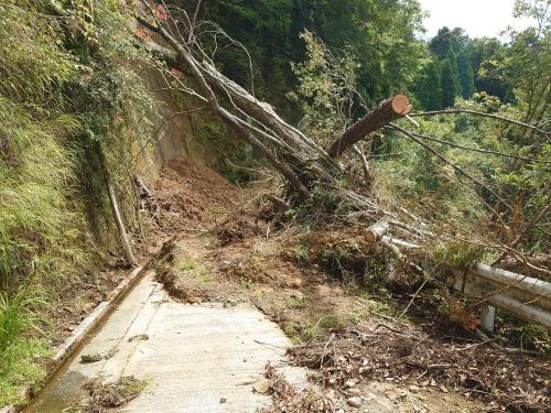 三間線八號隧道のコメント欄に投稿された写真