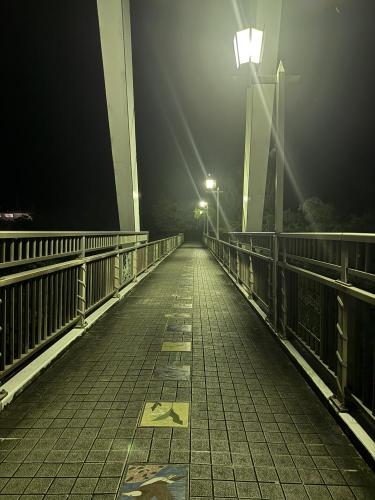 はねたき橋のコメント欄に投稿された写真