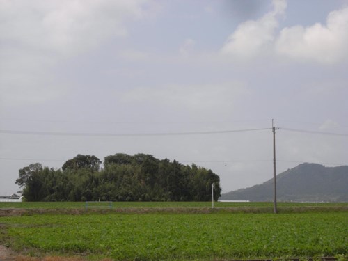 【滋賀県】シガイの森（新開の森）の画像