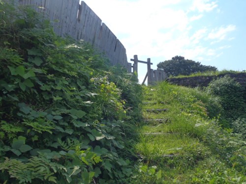 【白山市】鳥越城跡の画像