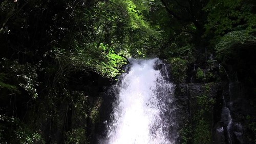 白糸の滝