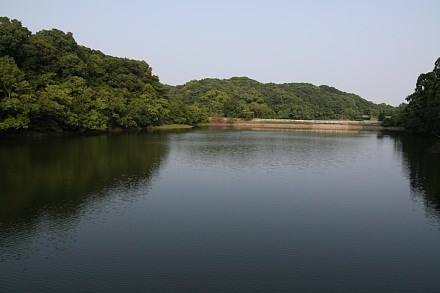 平和台公園の写真