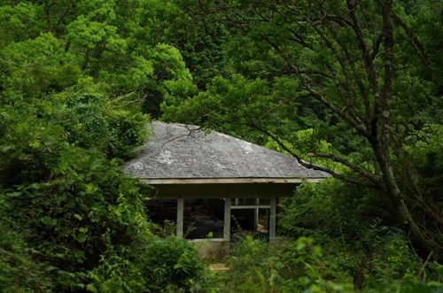 【高知県】麓宝園跡の画像