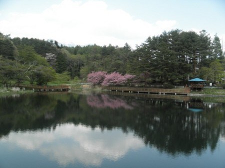 【山梨県】すずらん池の画像