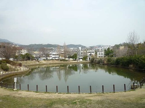 【兵庫県】樋の池の「手っちゃん」の画像