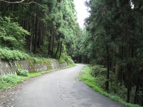 【埼玉県】顔振峠の画像