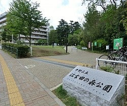 江古田の森公園