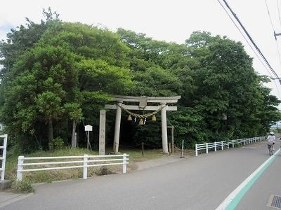 天狗の森（八坂神社）